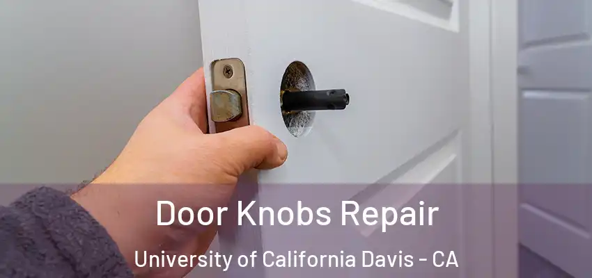 Door Knobs Repair University of California Davis - CA