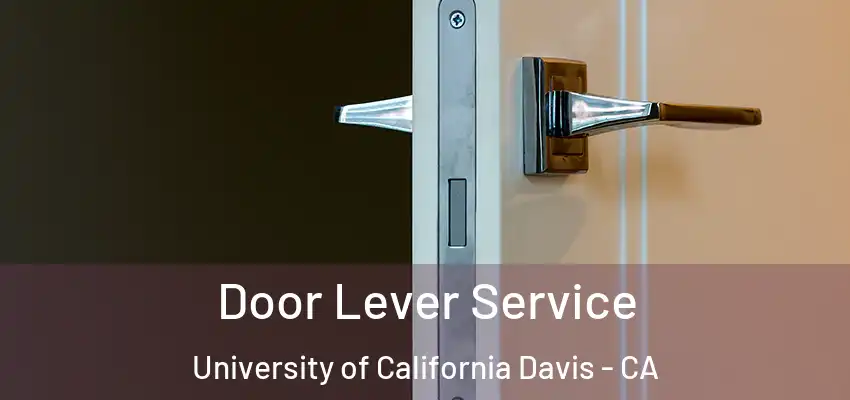  Door Lever Service University of California Davis - CA