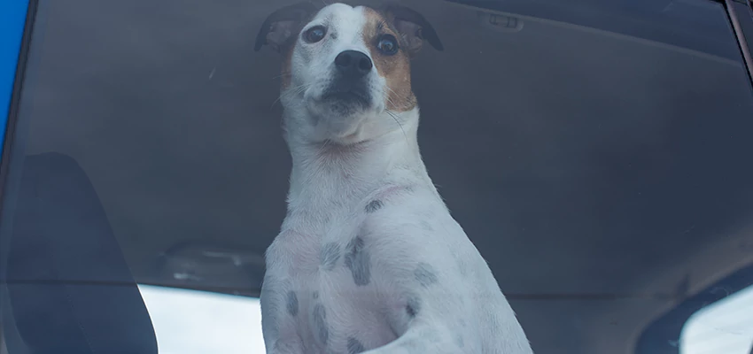 Car Lockout Solutions in University of California Davis, California