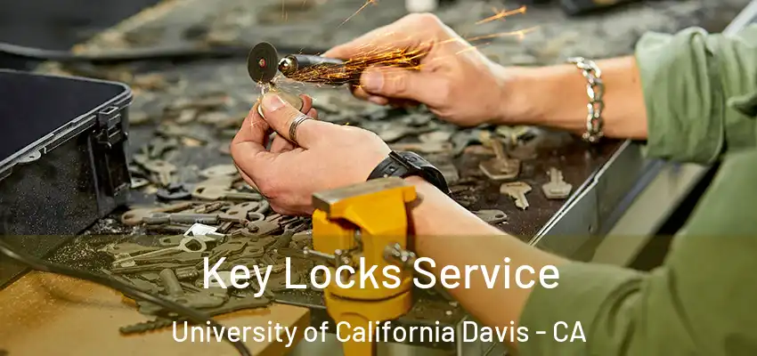  Key Locks Service University of California Davis - CA