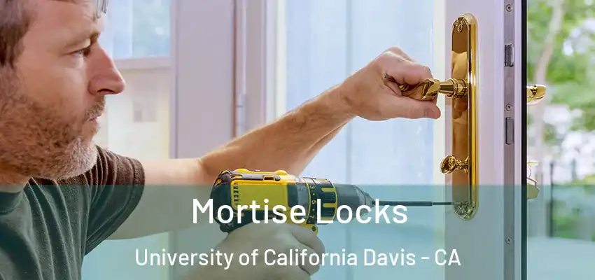  Mortise Locks University of California Davis - CA